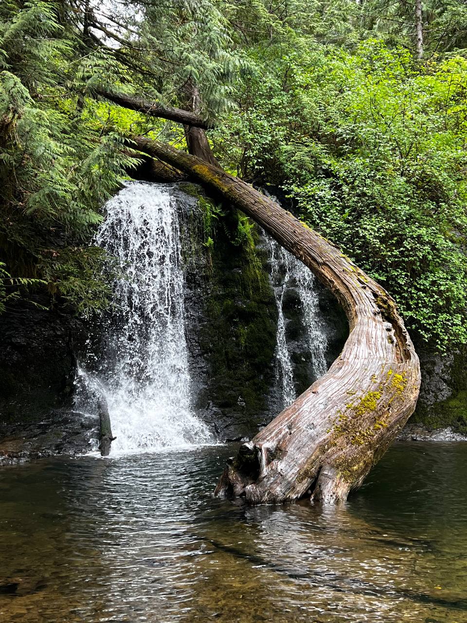 photo_2025-05-12 18.46.28.jpeg